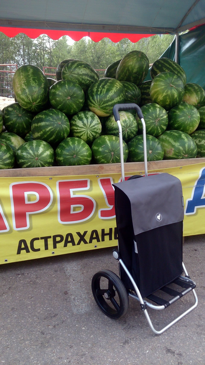 Andersen Royal Shopper Hera с 2 трёхспицевыми колёсами 25 см
